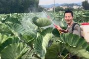 以实干扎根乡土 以奋斗点亮幸福-锐度写作